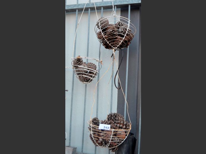 LOT: WIRE PLANT BASKETS