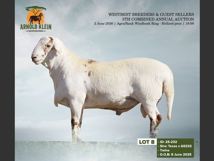 25-232 | ARNOLD KLEIN MEATMASTERS
