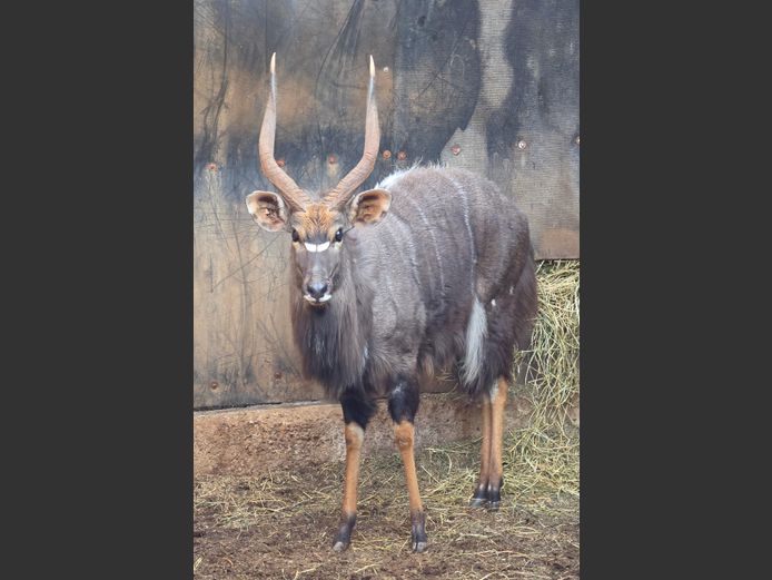 NJALA | INTERSTATE CLEARING