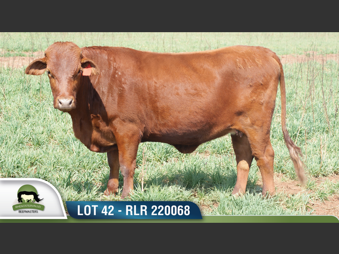 RLR 220068 | RHENOSTERVALLEI