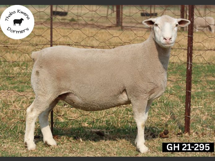 GH 210295 | THABA KWENA DORMERS