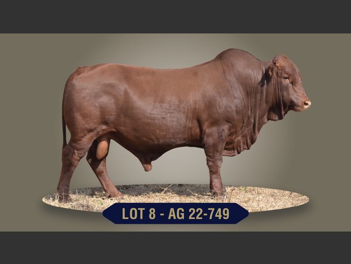 AG220749 | G.J. STRYDOM