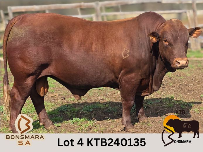 KTB240135 | BOTTERFONTEIN ESTATES CC