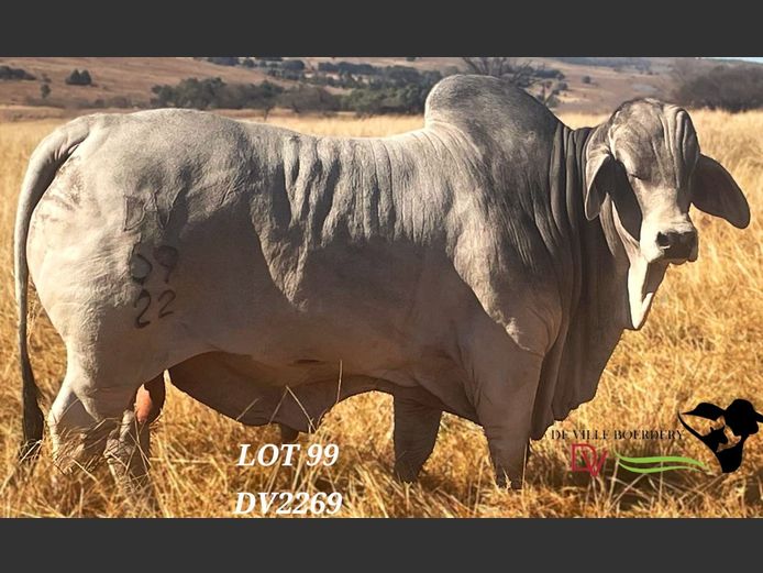 DV2269 | DE VILLE BOERDERY (EDMS) BPK