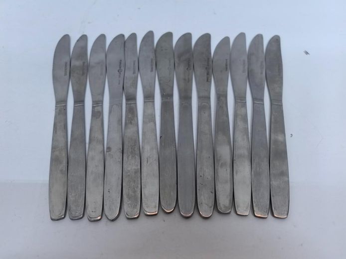Set of 13 Stainless Steel Dinner Knives