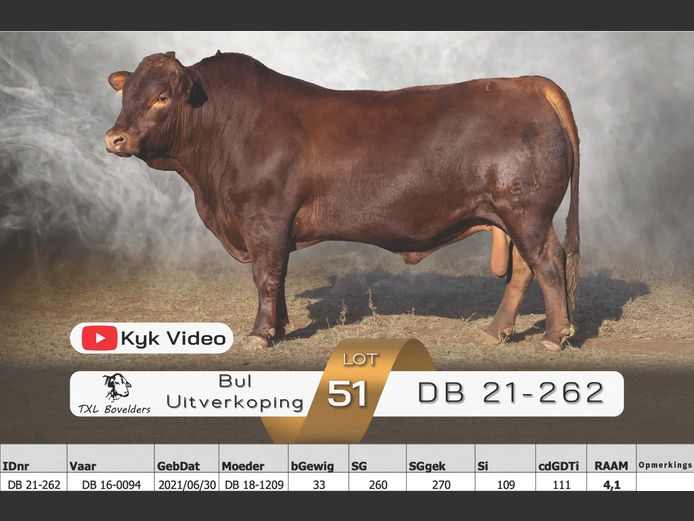 DB 21-262