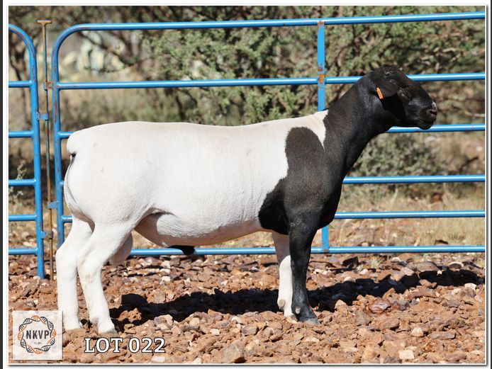 1643 24 0473 | C.C. VAN DEVENTER