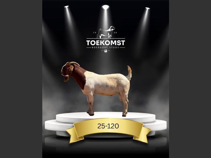 25-120 | Toekomst