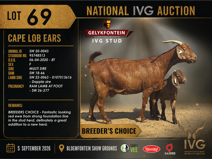SW20-0043 | GELYKFONTEIN STUD