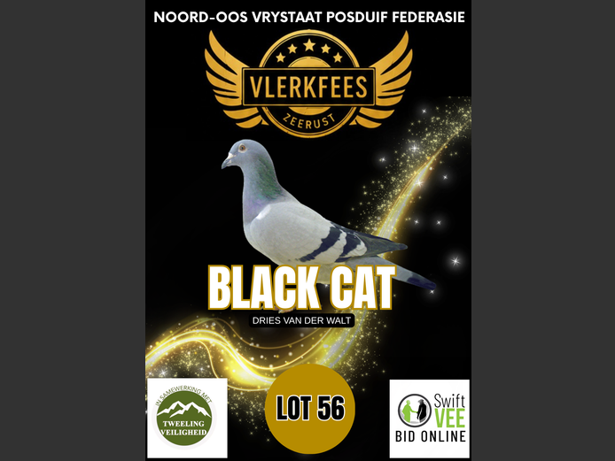 BLACK CAT | DRIES VAN DER WALT
