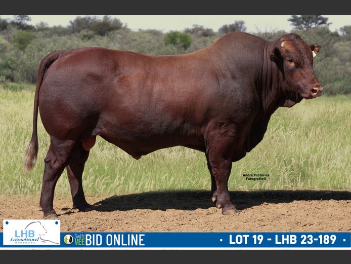 LHB 230189 | LEEUHEUWEL BOERDERY (EDMS) BPK