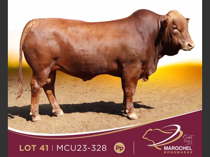 MCU 230328