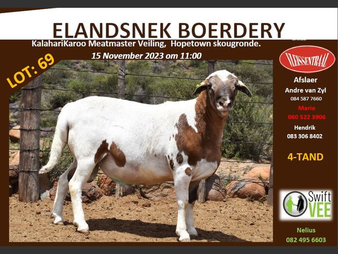 RSL B197 | ELANDSNEK BOERDERY