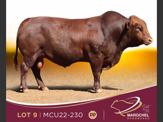 MCU 220230