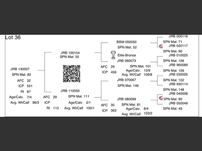 JRB 140007 #nv