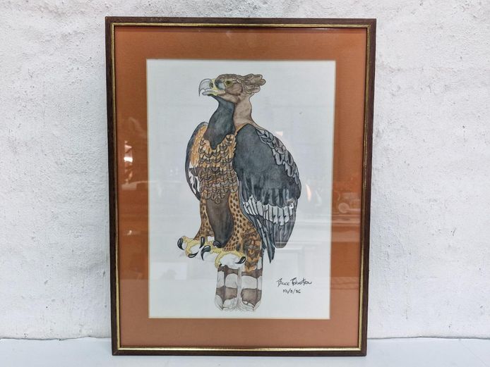 Framed Eagle Artwork Print By Bruce Robertson