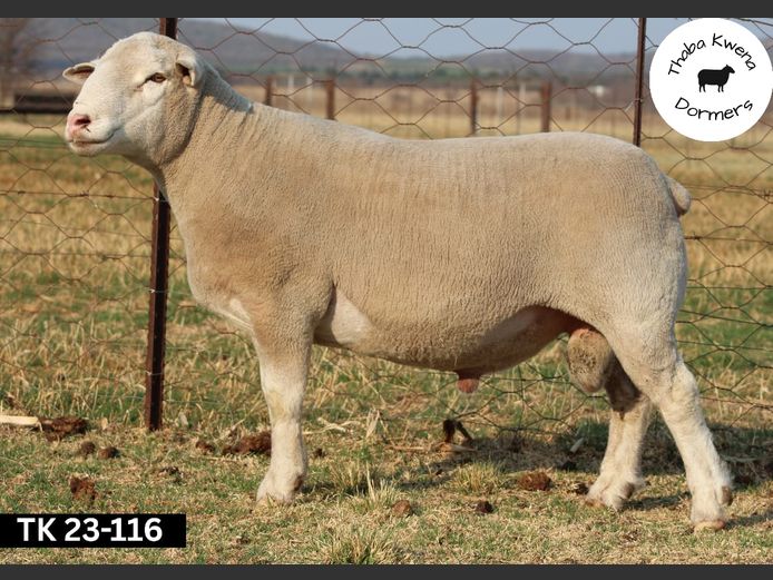 TK 230116 | THABA KWENA DORMERS