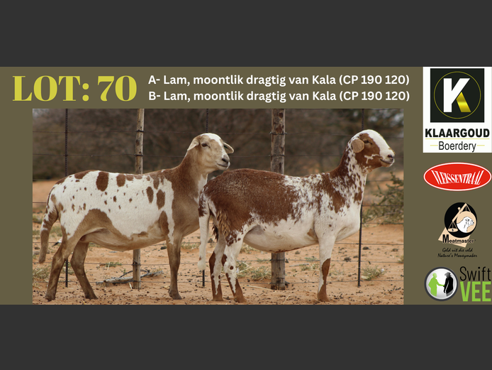 CP 24 244 | Chris & Christia - Klaargoud Boerdery