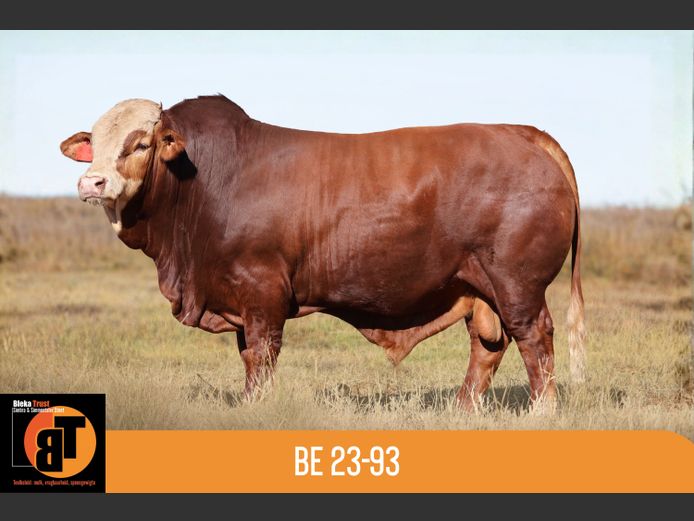BE2393 | BLEKA TRUST