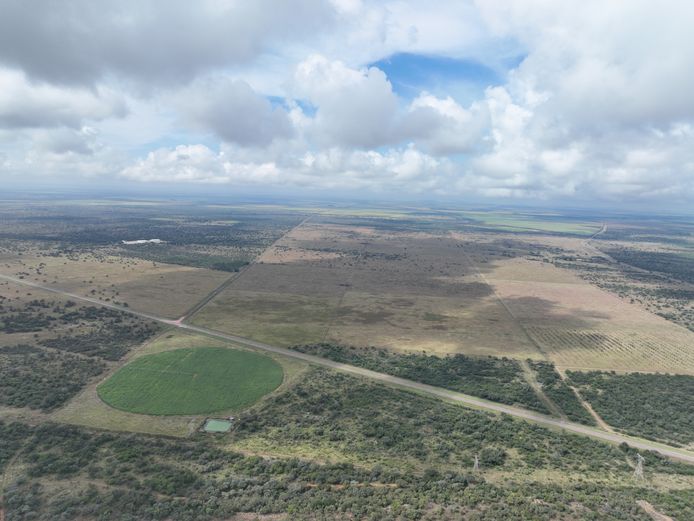 385ha Cattle Farm with Excellent Grazing & Drylands - Nylstroom