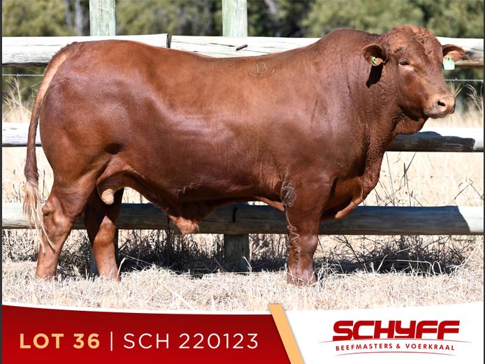 SCH 220123