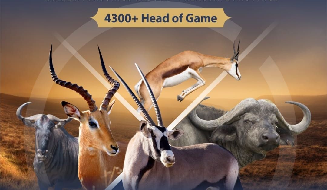 DESTEA 2023 ANNUAL GAME AUCTION | SwiftVEE | Livestock & Cattle Webcast ...