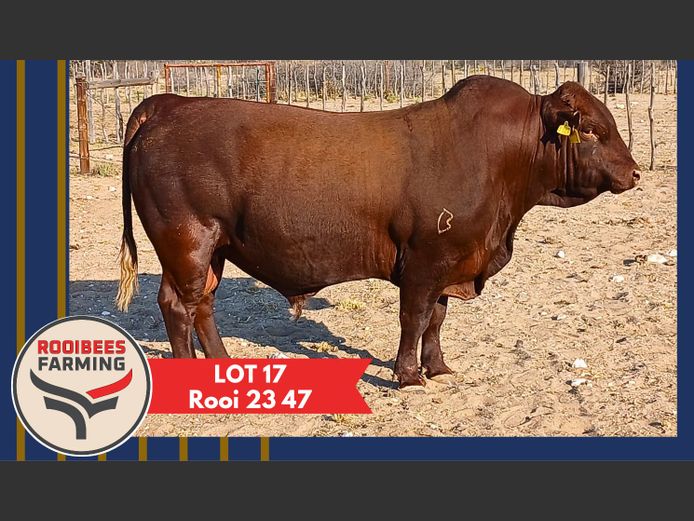 ROOI230047HH(c) | ROOIBEES FARMING PTY LTD