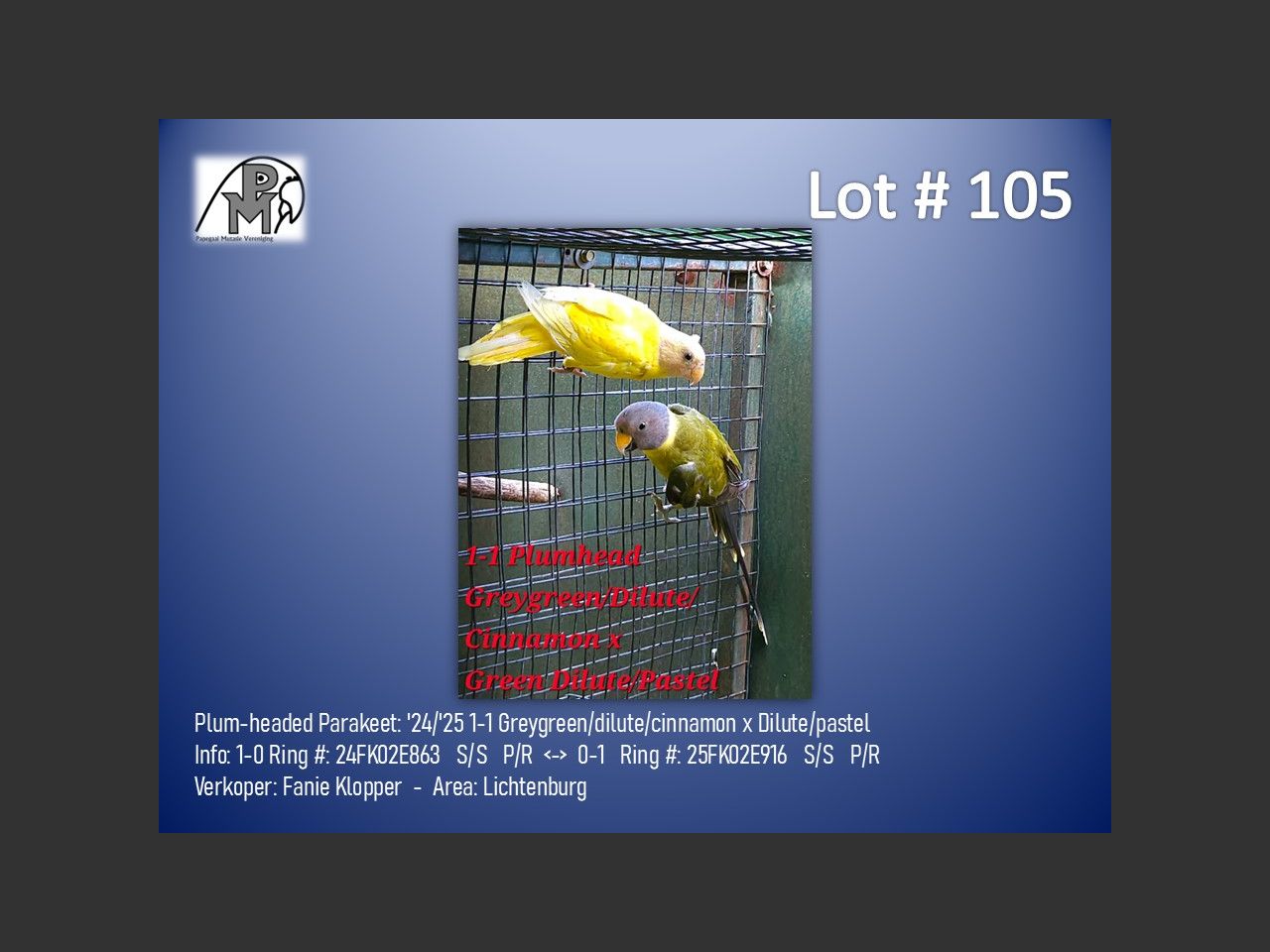 images