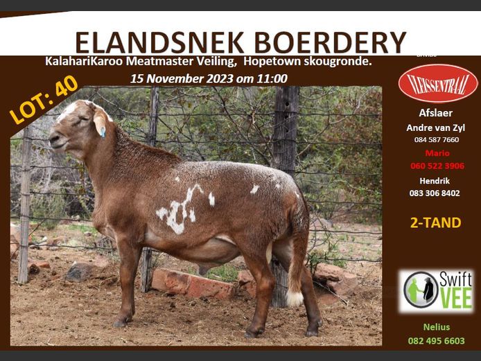 RSL B232 | ELANDSNEK BOERDERY