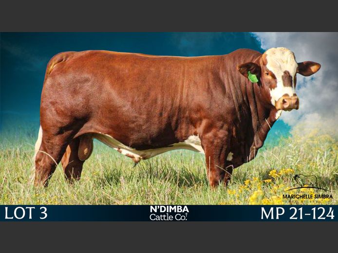MP21124C