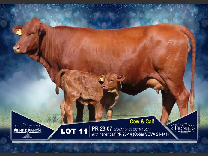 PR 230007 | PEINKE RANCH