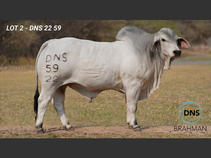 DNS2259 | JES-C BOERDERY (PTY) LTD