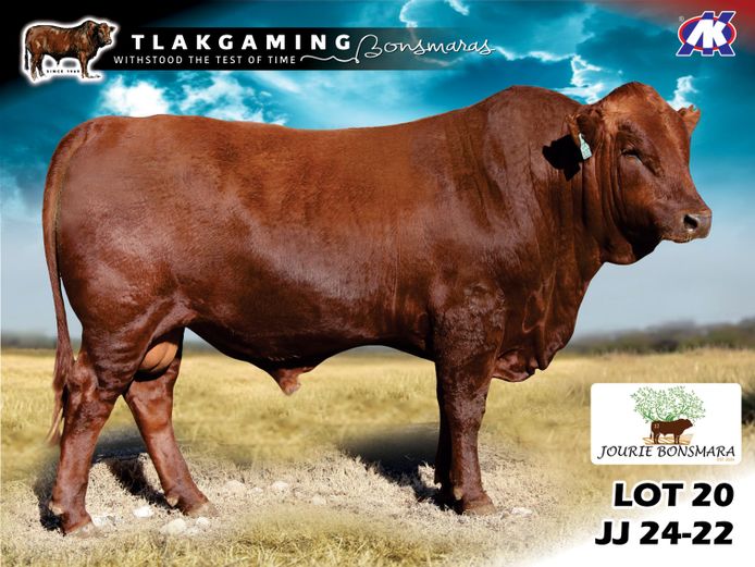 JJ240022 | JOURIE BONSMARAS
