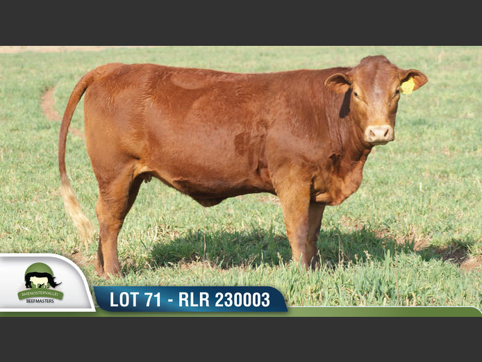 RLR 230003 | RHENOSTERVALLEI