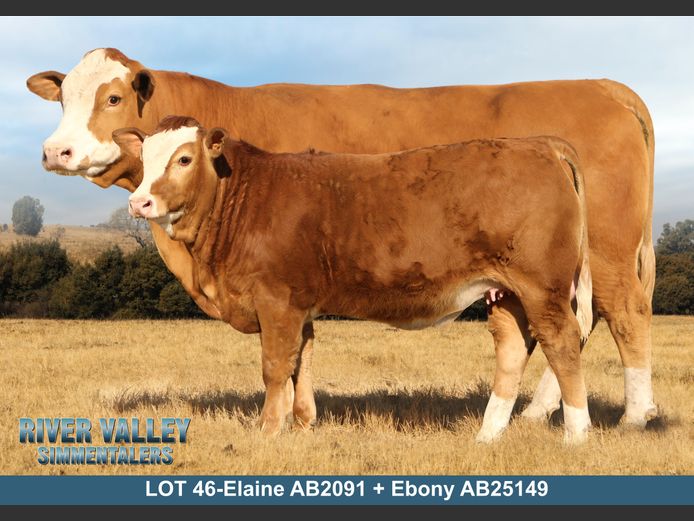 AB2091 | PA ABRAHAMSE