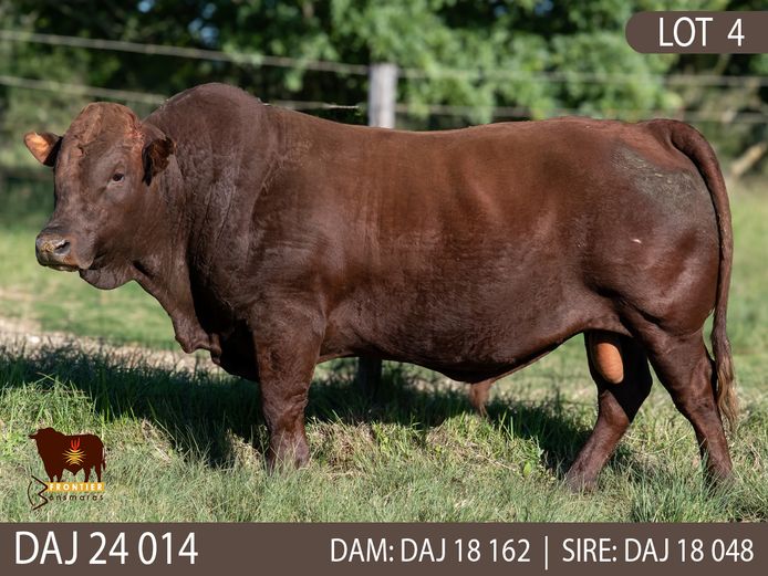 DAJ 240014 | J.D. STIRK