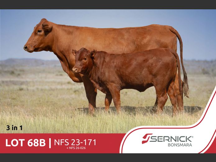 NFS 230171 Pp(c) | SERNICK BONSMARA STOET