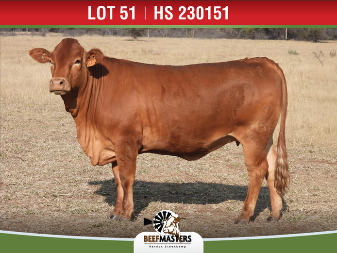 HS 230151 | G.A. STEENKAMP