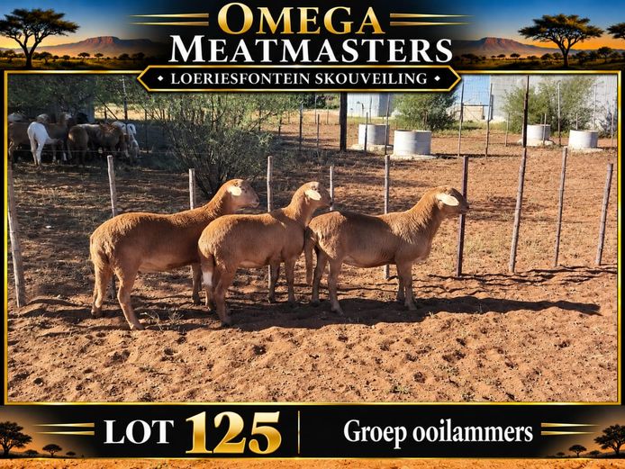 Omega Meatmasters