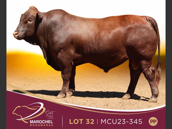 MCU 230345