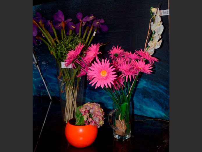 LARGE GLASS VASE & OTHERS WITH EVERLASTING FLOWERS