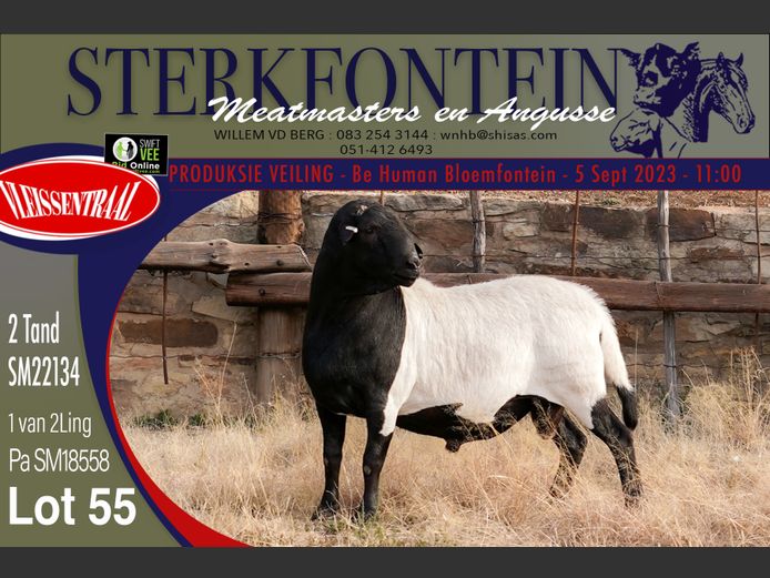 SM 22 134 | Sterkfontein Meatmasters