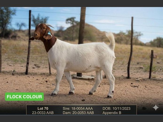 23-0033AAB | AC BOERBOKSTOET