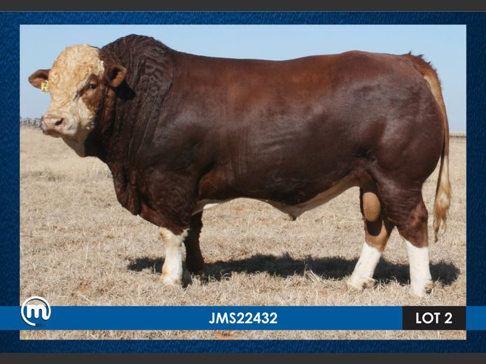 JMS22432