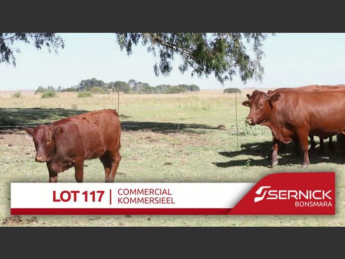 Commercial Animals