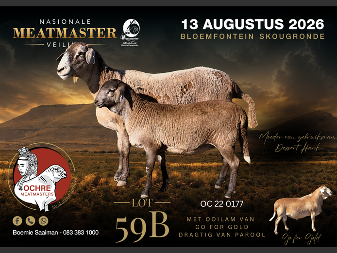 OC 22 0177 | Ochre Meatmasters