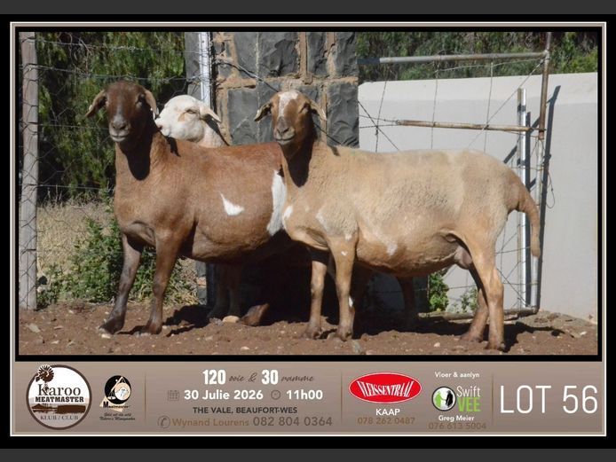 PB 2313 | Johan & Jeanne Murray - Pienaarspan Meatmasters