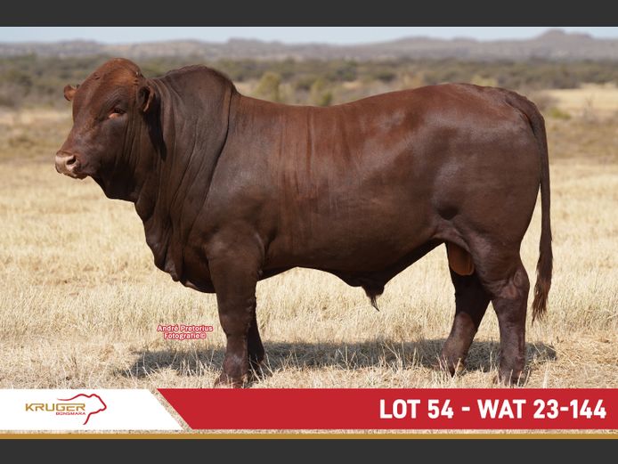WAT230144 | KRUGER BOERDERY