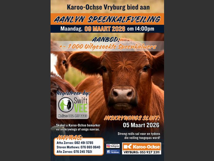 KAROO OCHSE AANLYN SPEENKALFVEILING