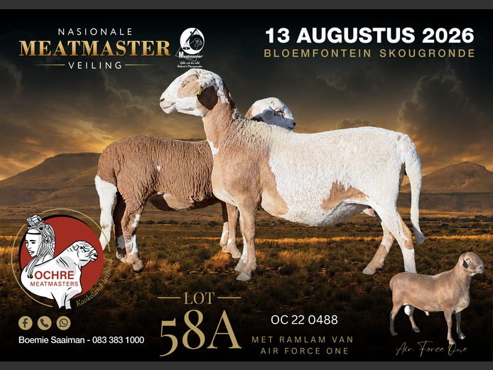 OC 22 0488 | Ochre Meatmasters